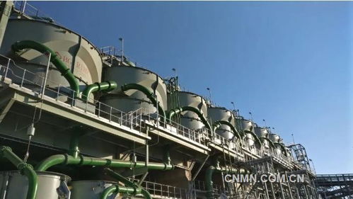 深化六個引領，建設一帶一路精品工程——礦冶集團南非PMC浮選廠總承包項目建設紀實